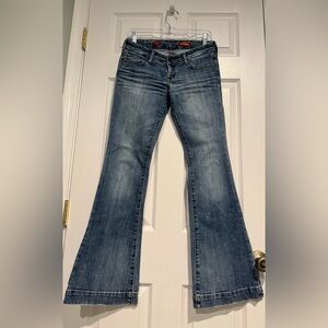 Women’s Express Flare Jeans